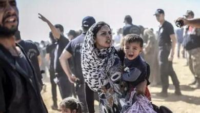 此役过后,巴尔米拉将为巴沙尔·阿萨德总统进一步进攻盘踞在该国东部地区的“伊斯兰国”的重要战略通道,而这同时也表明,恐怖集团“伊斯兰国”在叙利亚和伊拉克所控制的“领土”遭受了进一步的损失。