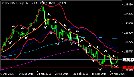 (美元/加元日线图 来源：环球外汇网)