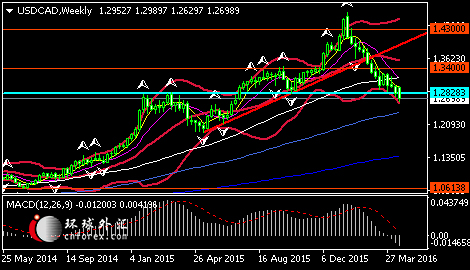 (美元/加元周线图 来源：环球外汇)