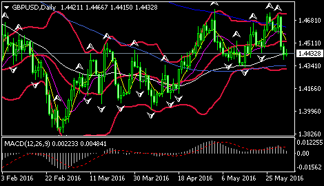(欧元/美元日线图 来源:环球外汇网)