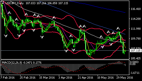 (欧元/美元日线图 来源:环球外汇网)