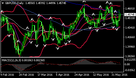 (欧元/美元日线图 来源:环球外汇网)
